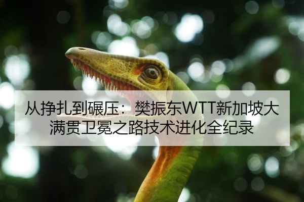 cong-zheng-zha-dao-nian-ya-fan-zhen-dong-xin-jia-po-da-man-guan-wei-mian-zhi-lu-ji-shu-jin-hua-quan-ji-lu-2-416.jpg