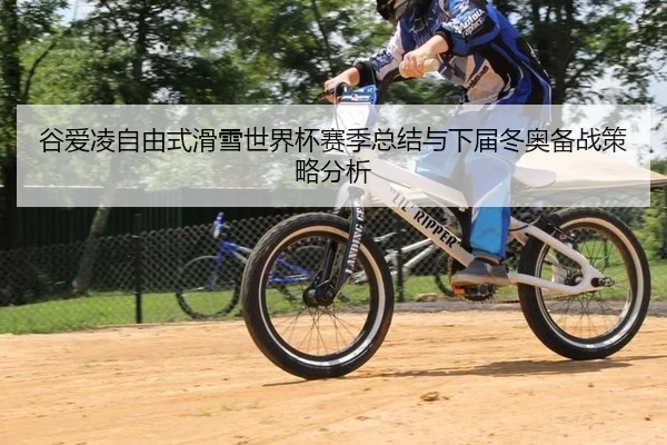 gu-ai-ling-zi-you-shi-hua-xue-shi-jie-bei-sai-ji-zong-jie-yu-xia-jie-dong-ao-bei-zhan-ce-lve-fen-xi-2-648.jpg