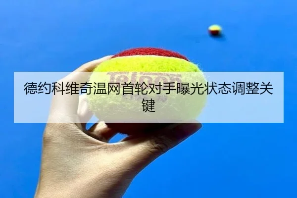 de-yue-ke-wei-qi-wen-wang-shou-lun-dui-shou-bao-guang-zhuang-tai-tiao-zheng-guan-jian-3-531.jpg
