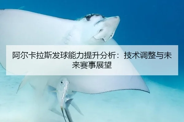 阿尔卡拉斯发球能力提升分析：技术调整与未来赛事展望